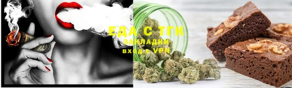 гашик Бородино