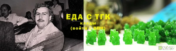 гашик Бородино