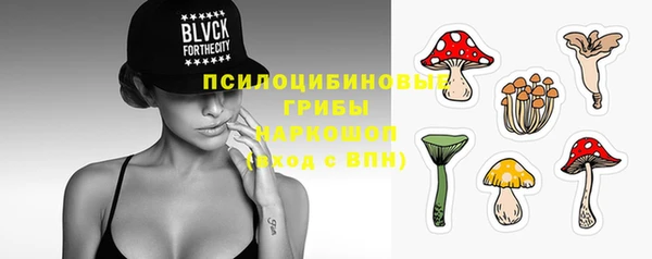 гашик Бородино
