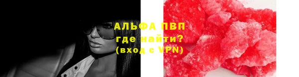 гашик Бородино