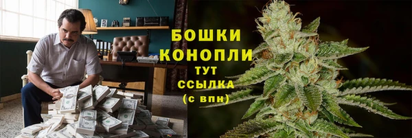 гашик Бородино