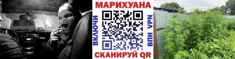 Бошки Шишки план Козельск
